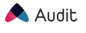 Audit Logo 1