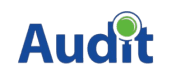 Audit Logo 3